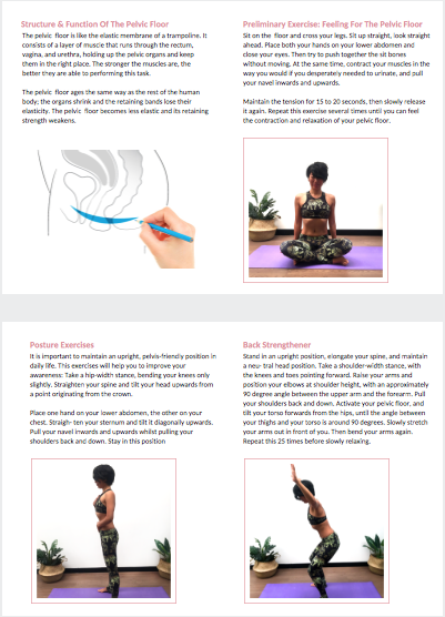 Pelvic Floor Exercise Download Pelvi Store